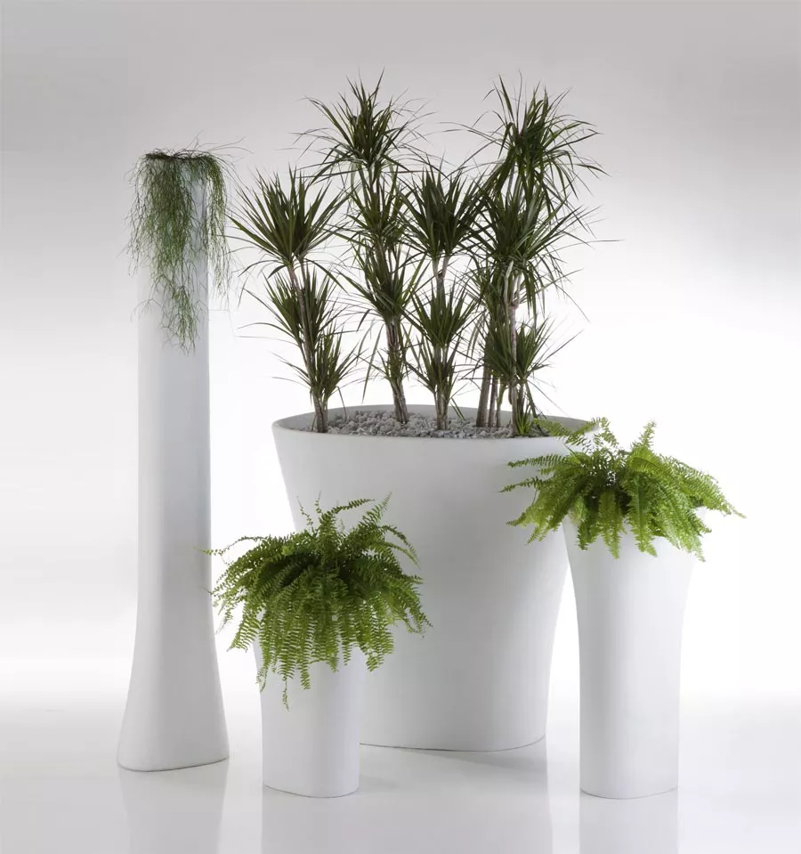 Vondom Bones Pflanzkübel • Pflanzgefäß H 220 cm