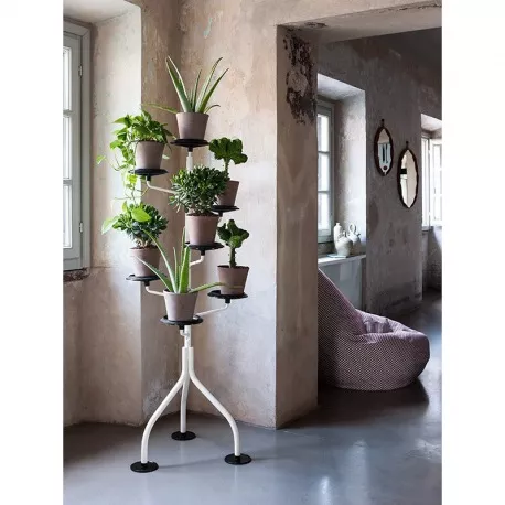 Zanotta • ALBERO • Blumenständer