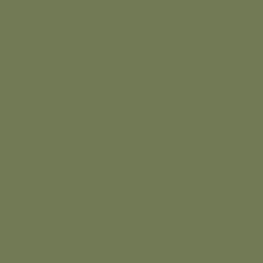 6022 Olive green