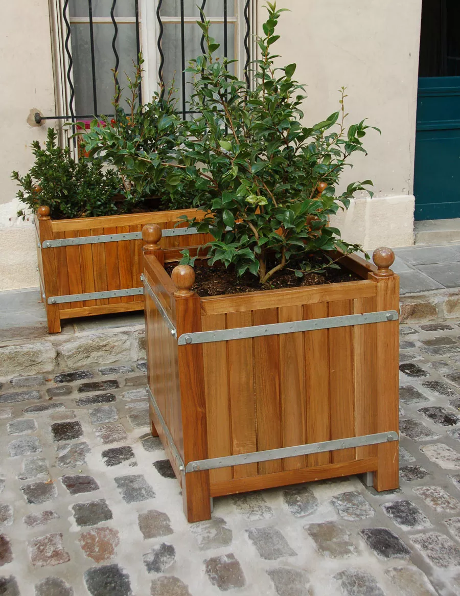 Orangerie Pflanzkübel Teakholz massiv (verschiedene Größen)