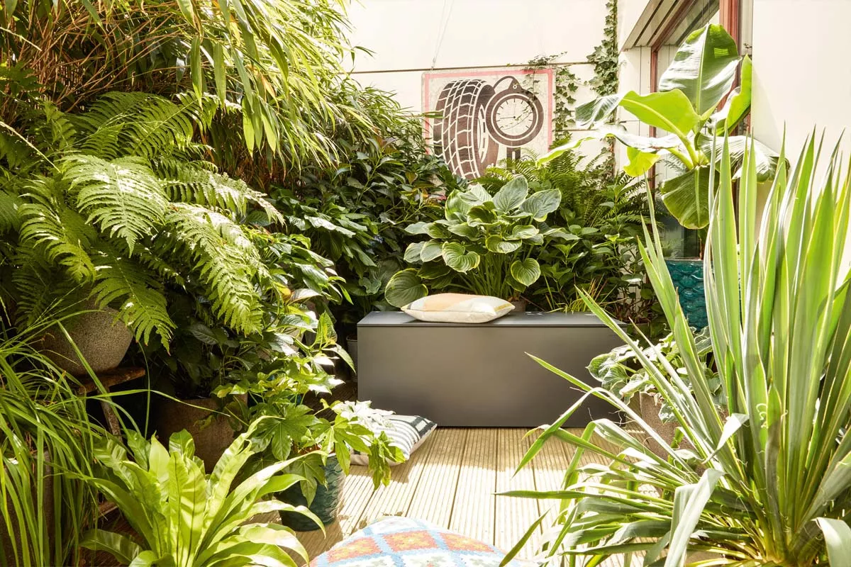 Conmoto El Pecho Kissentruhe L • Polstertruhe 180 × 90 cm 