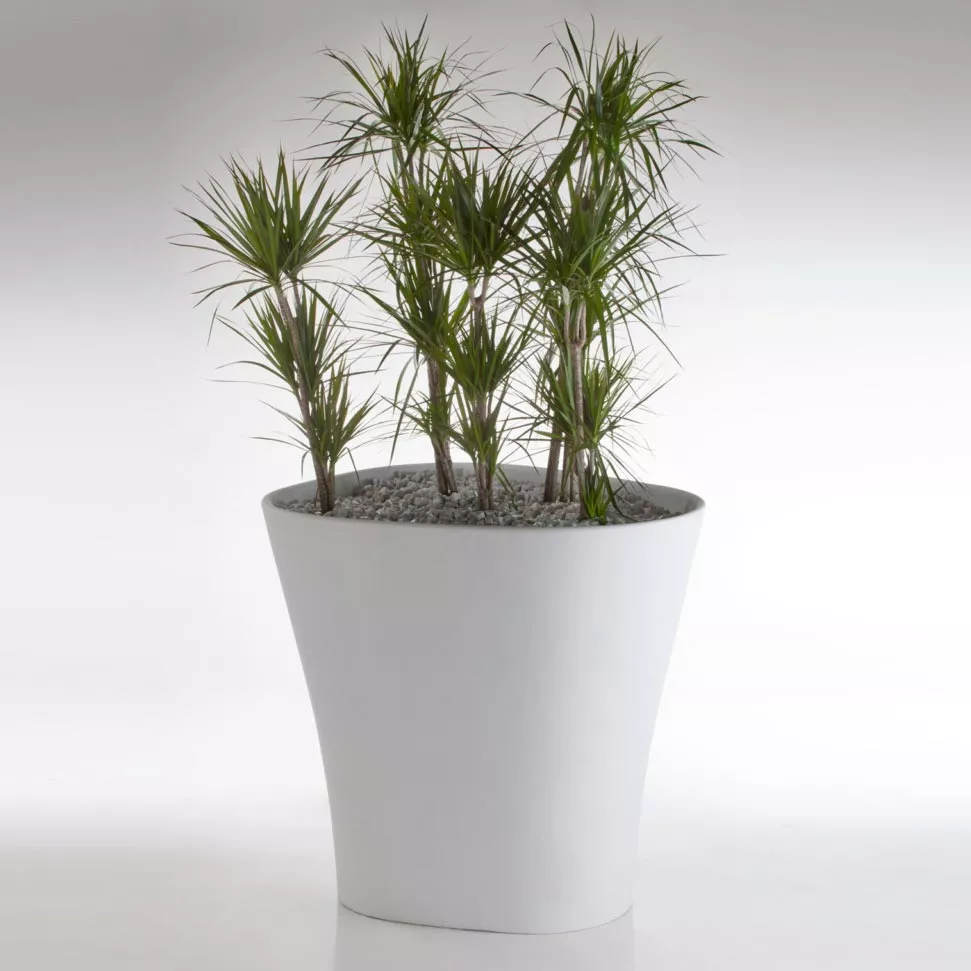 Vondom Bones Pflanzkübel • Pflanzgefäß H 220 cm