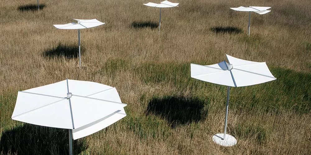 Weiße Calma OM Sonnenschirme in einer Wiese, aus der Vogelperspektive fotografiert, schaffen eine ruhige und elegante Atmosphäre.