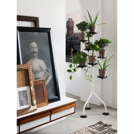 Zanotta • ALBERO • Blumenständer